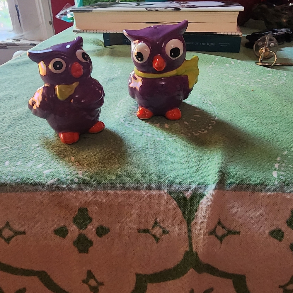 Owl Salt and pepper shakers. Purple